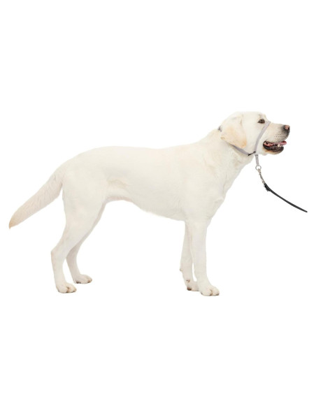 Collar de Cabeza PetSafe Gentle Leader Grande Plata
