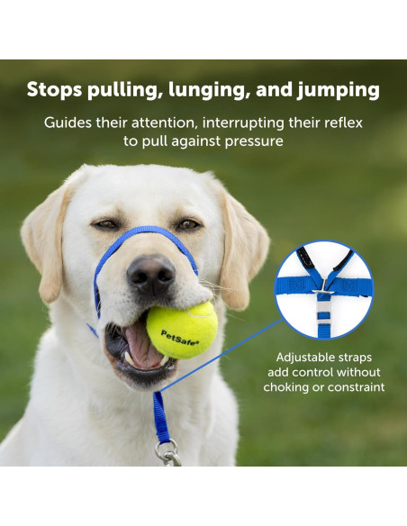 Collar de Cabeza PetSafe Gentle Leader Grande Plata