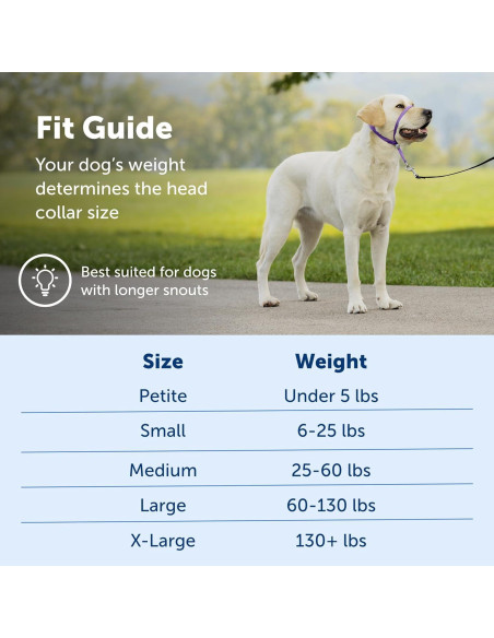 Collar de Cabeza PetSafe Gentle Leader Grande Plata