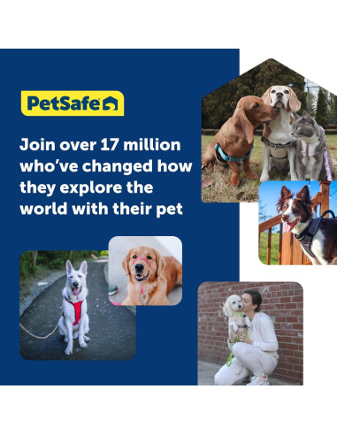 Collar de Cabeza PetSafe Gentle Leader Grande Plata