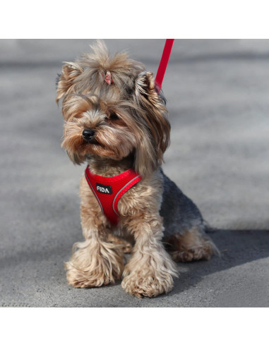 Arnés para Perros Fida Comfy Rojo S Transpirable y Reflectante