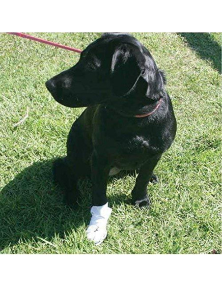 Botas Médicas para Perros Nooby's M 6.35 - 8.89 cm 8-Pack