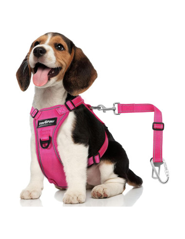 Arnés de Seguridad para Perros VavoPaw Rosa Talla S
