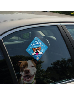 Cartel de Coche Just Chillin' para Perros - Vinilo 13,34 cm 2