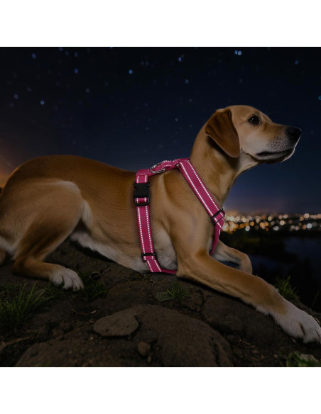 Arnés de Seguridad para Perros VavoPaw Rosa Talla S