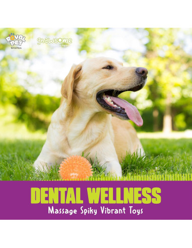 Bola Squeaky Mediana Gnawsome Royal Pet 8,89 cm para Perros