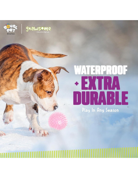Bola Squeaky Mediana Gnawsome Royal Pet 8,89 cm para Perros