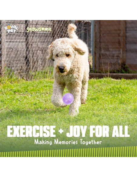 Bola Squeaky Mediana Gnawsome Royal Pet 8,89 cm para Perros