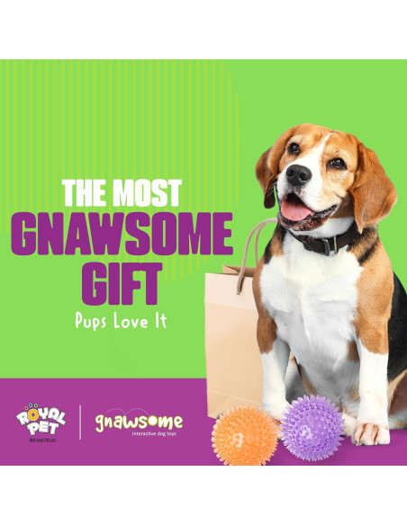 Bola Squeaky Mediana Gnawsome Royal Pet 8,89 cm para Perros