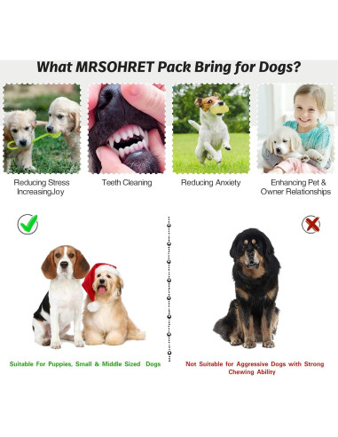 20 Piezas Juguetes para Perros MRSOHRET con Canasta