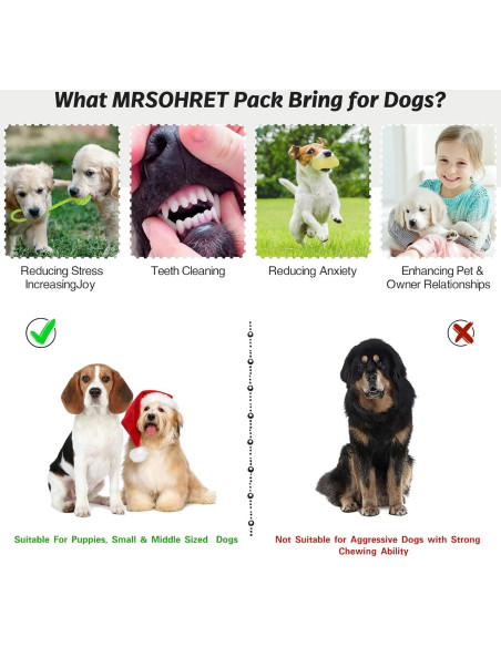 20 Piezas Juguetes para Perros MRSOHRET con Canasta