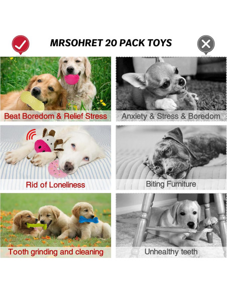 20 Piezas Juguetes para Perros MRSOHRET con Canasta