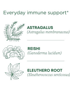 Té Medicinal Tradicional Reishi Orgánico 16 Bolsitas 2