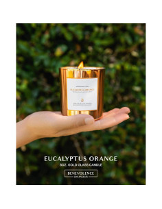 Vela Aromática de Soya Benevolence LA Eucalipto Naranja 226g 2