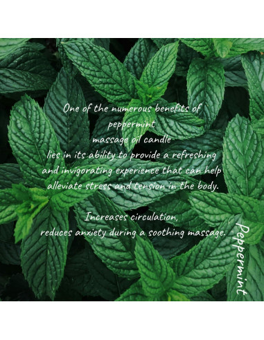 Vela de Aceite de Masaje MELONY 230g - Aroma Menta Natural