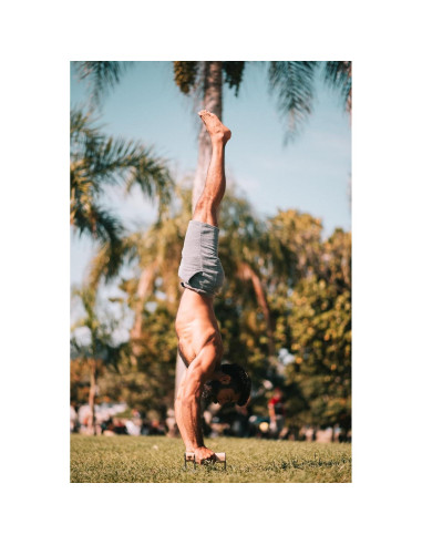 Parallettes PULLUP & DIP de Madera y Acero - 200 kg