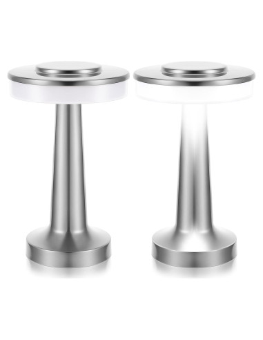 Juego de 2 Lámparas de Mesa LED Riakrum Plata Táctil 3 Colores