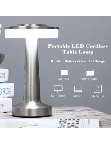 Juego de 2 Lámparas de Mesa LED Riakrum Plata Táctil 3 Colores