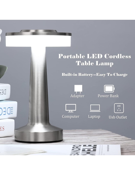 Juego de 2 Lámparas de Mesa LED Riakrum Plata Táctil 3 Colores