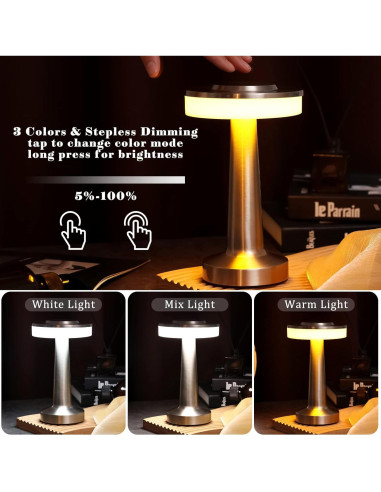 Juego de 2 Lámparas de Mesa LED Riakrum Plata Táctil 3 Colores