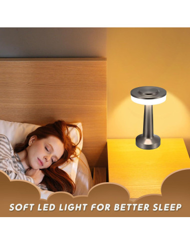 Juego de 2 Lámparas de Mesa LED Riakrum Plata Táctil 3 Colores