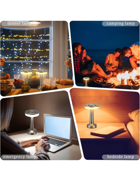 Juego de 2 Lámparas de Mesa LED Riakrum Plata Táctil 3 Colores