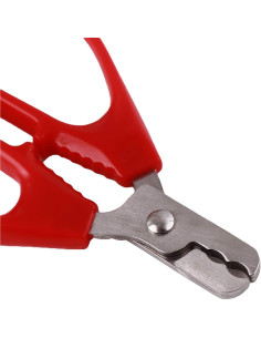 Alicate Abridor de Semillas Rojo WsjiaboFux - Pelador de Nueces 2