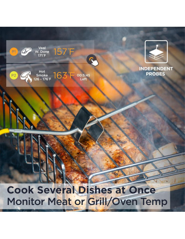 Termómetro de Carne Bluetooth Deiss PRO Digital 2 Probetas