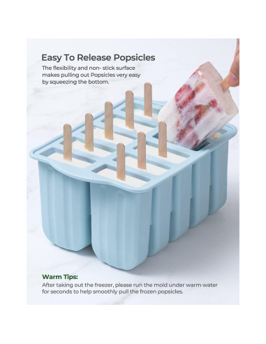 Moldes de Silicona para Paletas MEETRUE 10 Cavidades 120ml