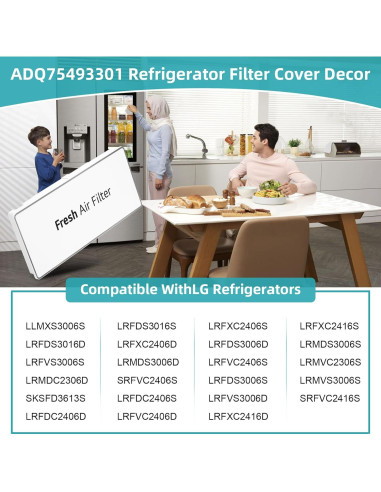 Cubierta Filtro Aire Refrigerador LG ADQ75493301 19,5 cm