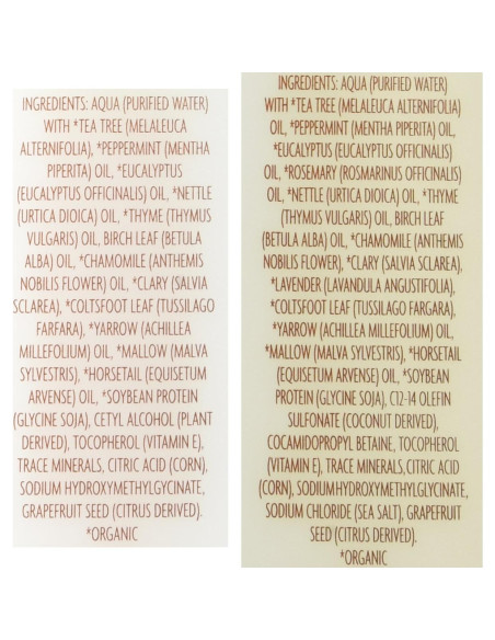 Champú y Acondicionador Tea Tree Tingle Trader Joe's 453 g