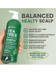 Champú de Aceite de Árbol de Té MaxTherapy 473 ml - Alivio Caspa 2