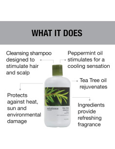 Champú Natural Great Clips 946 ml Árbol de Té y Menta 2