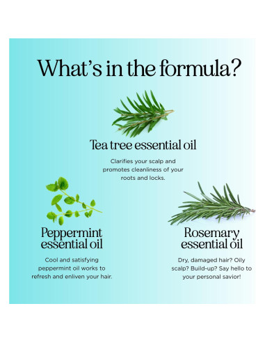 Champú Aclarador Maple Holistics 473 ml Árbol de Té y Menta