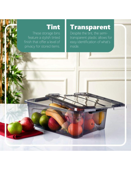 Bins de Almacenamiento Tribello 12 Litros con Tapa - Set de 2