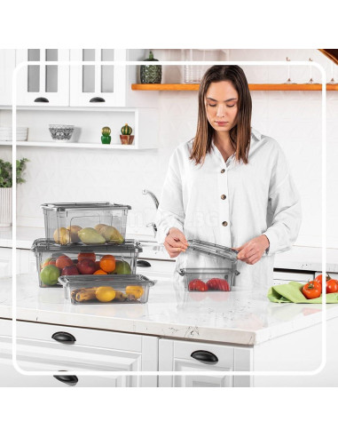 Bins de Almacenamiento Tribello 12 Litros con Tapa - Set de 2