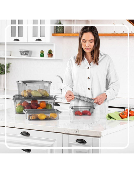 Bins de Almacenamiento Tribello 12 Litros con Tapa - Set de 2