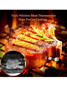 Termómetro de carne Bluetooth Bthebbqer Dos Probe 01 2