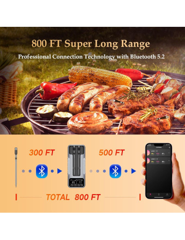 Termómetro de carne Bluetooth Bthebbqer Dos Probe 01