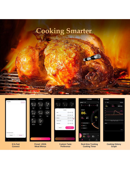 Termómetro de carne Bluetooth Bthebbqer Dos Probe 01