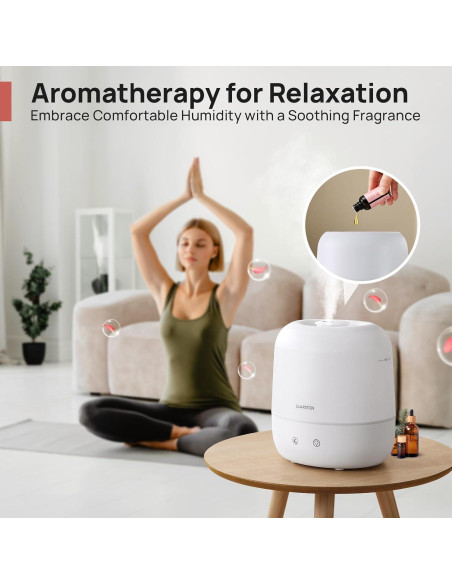 Humidificador de Niebla Fresca CLARSTON 2L Silencioso