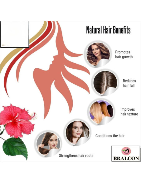 Combo Polvo Amla Orgánico y Hibisco 200g - Cuidado Cabello y Piel