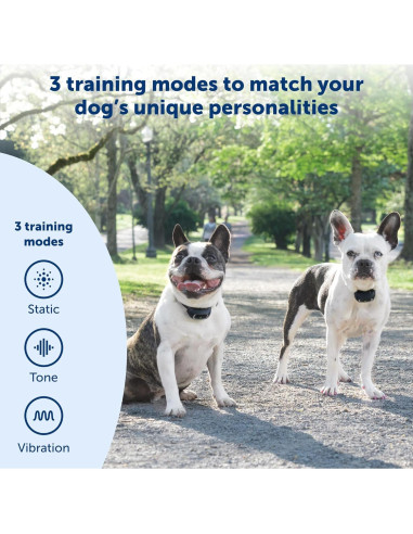Collar de Entrenamiento Remoto PetSafe Lite para Perros Pequeños