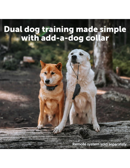 Collar de Entrenamiento Remoto PetSafe Lite para Perros Pequeños Collar de Entrenamiento Remoto PetSafe Lite para Perros Pequeños