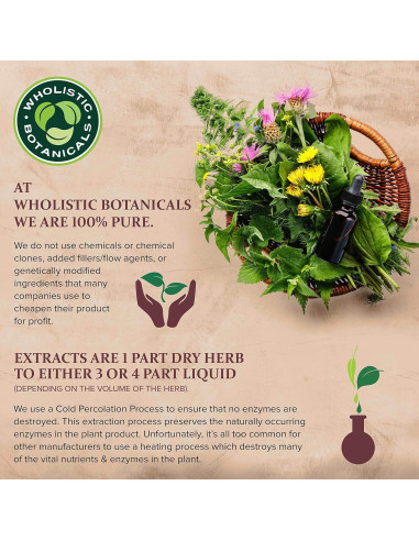 Cera de Abejas Orgánica 0.45 kg - Wholistic Botanicals