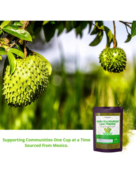 Polvo de Hoja de Guanábana 170g Herbalista - 100% Natural Polvo de Hoja de Guanábana 170g Herbalista - 100% Natural
