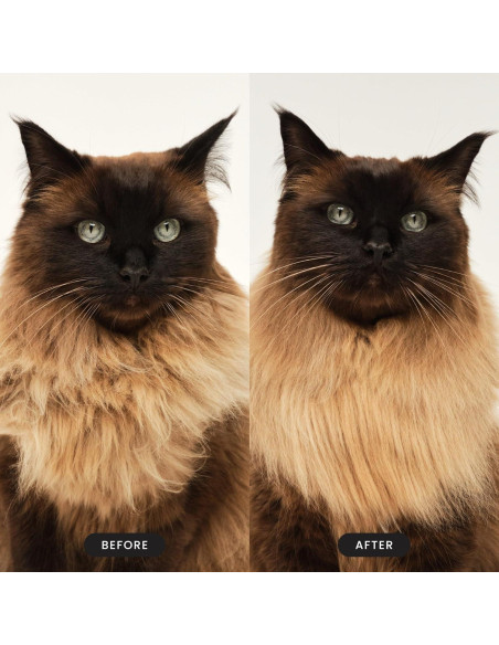 Cepillo Desenredador para Gatos Pet Teezer Rosa 10x8cm