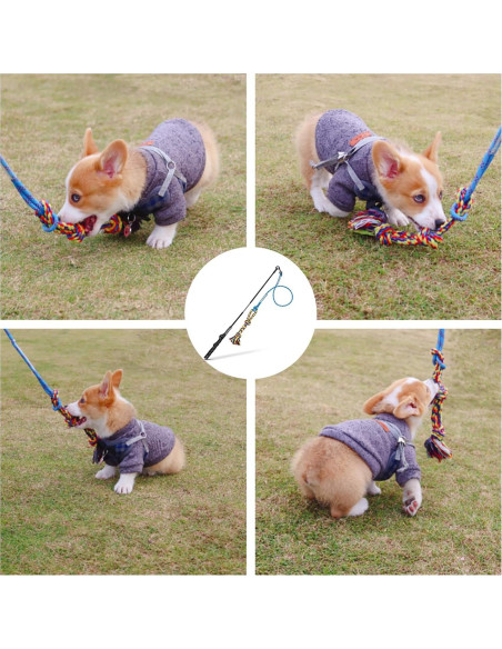 Palo de Coqueteo para Perros DIBBATU 83.82 cm Azul Palo de Coqueteo para Perros DIBBATU 83.82 cm Azul