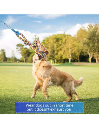 Palo de Coqueteo para Perros DIBBATU 83.82 cm Azul