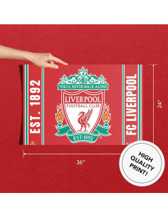 Póster Premium Liverpool FC Cactus del Desierto 91x61 cm 2
